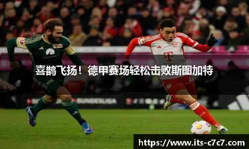 c7娱乐平台